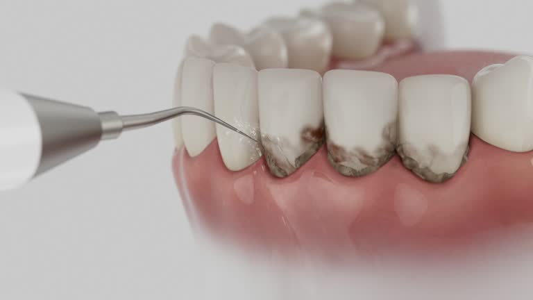 Reliable Dental contractor in Ammon, ID by Dentist Open Now